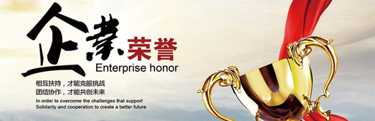 乐虎lehu荣誉