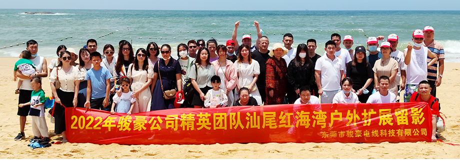 乐虎lehu电线2022年宝鸡行